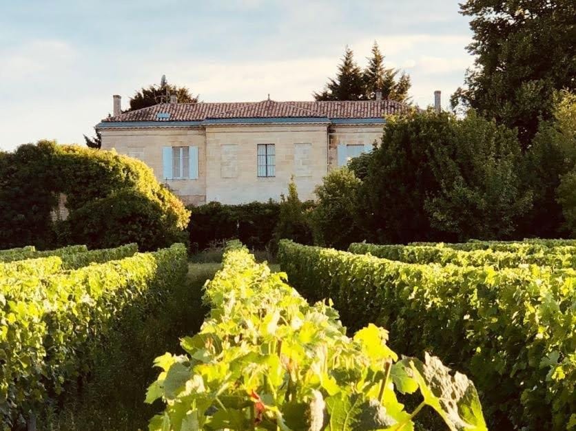Property building, Natural landscape