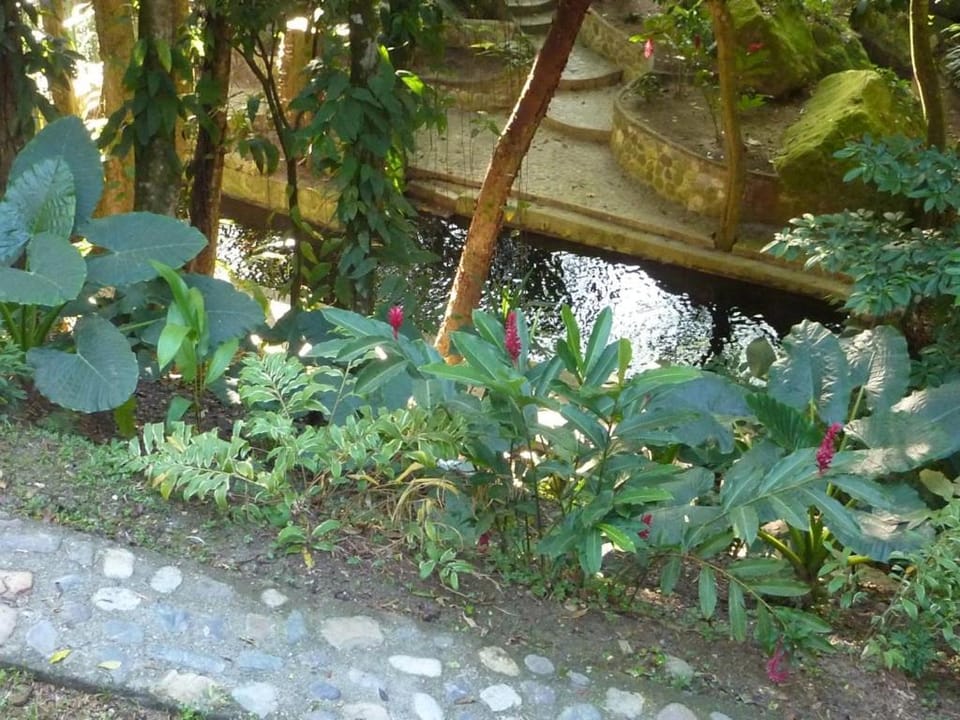 Villas Pico Bonito Nature lodge in La Ceiba