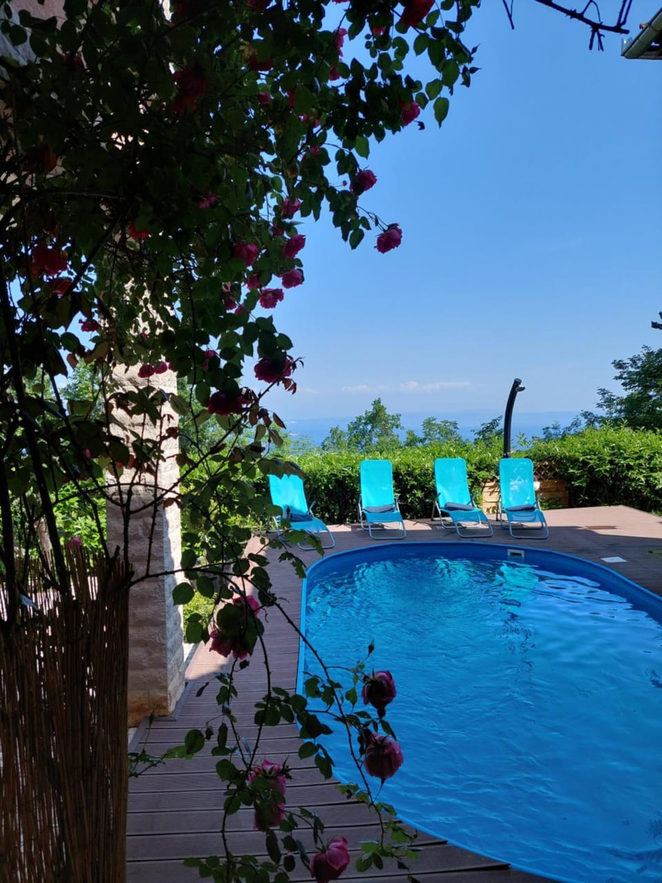 Day, Natural landscape, Garden view, Pool view, Swimming pool, Swimming pool, sunbed