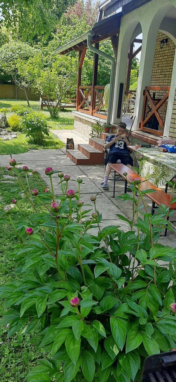 Iriški san House in Vojvodina