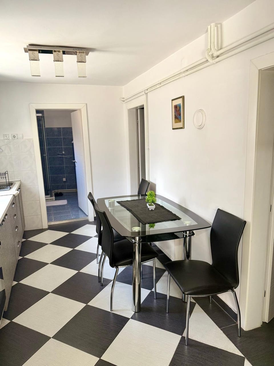 Downtown apartment Apartment in Serbia