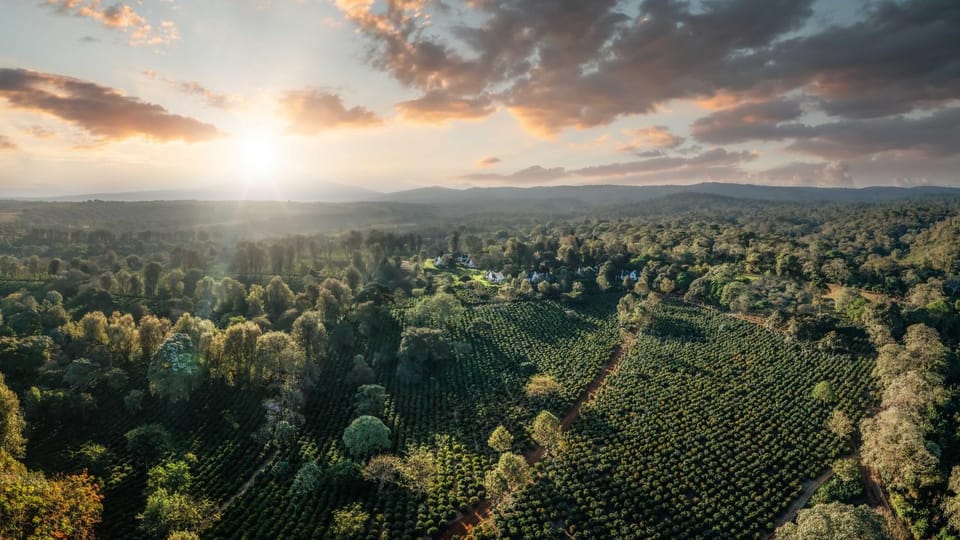 Day, Natural landscape, Bird's eye view, Mountain view, Sunrise