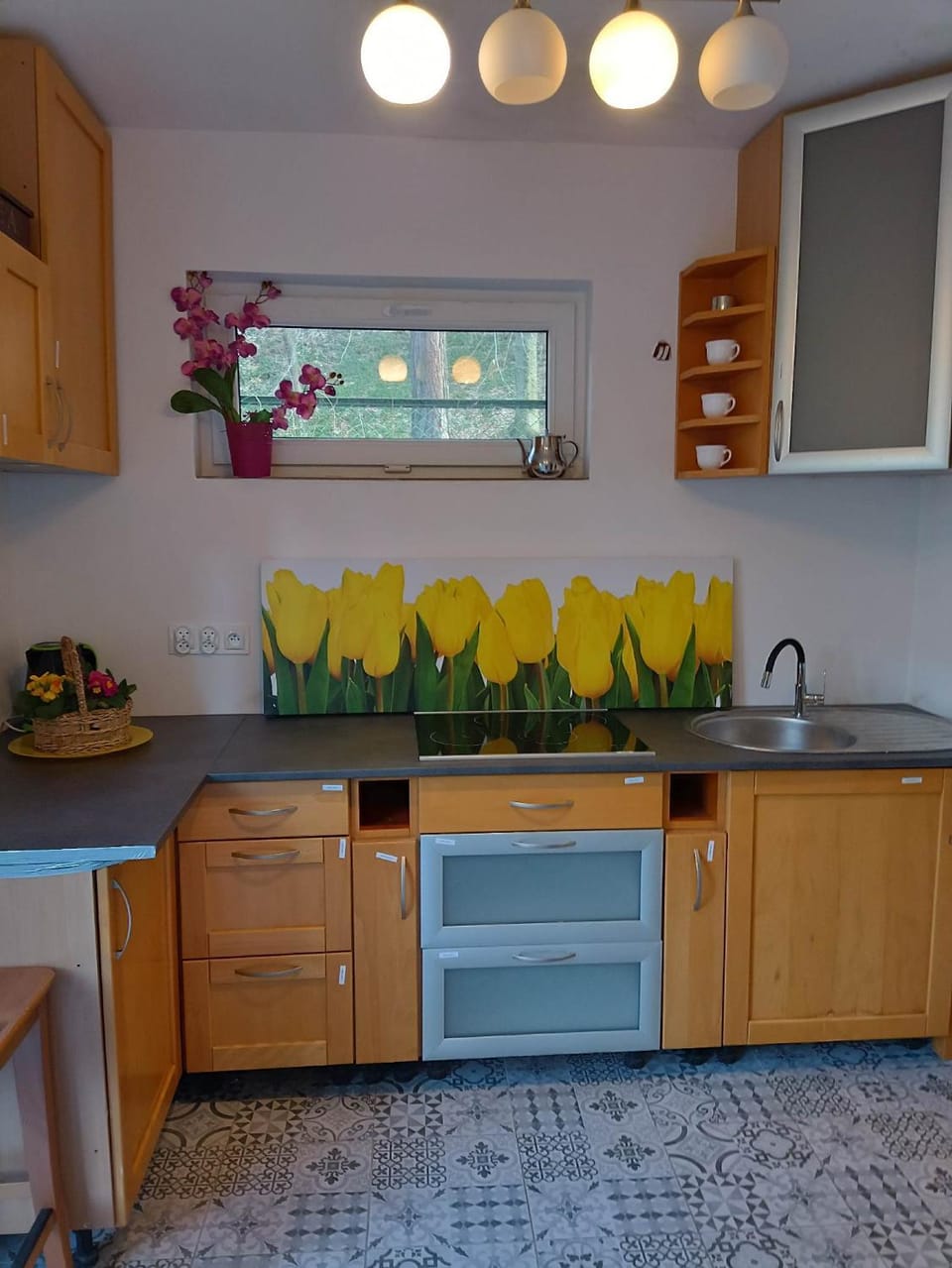 Viking Rożnów Vacation rental in Lesser Poland Voivodeship