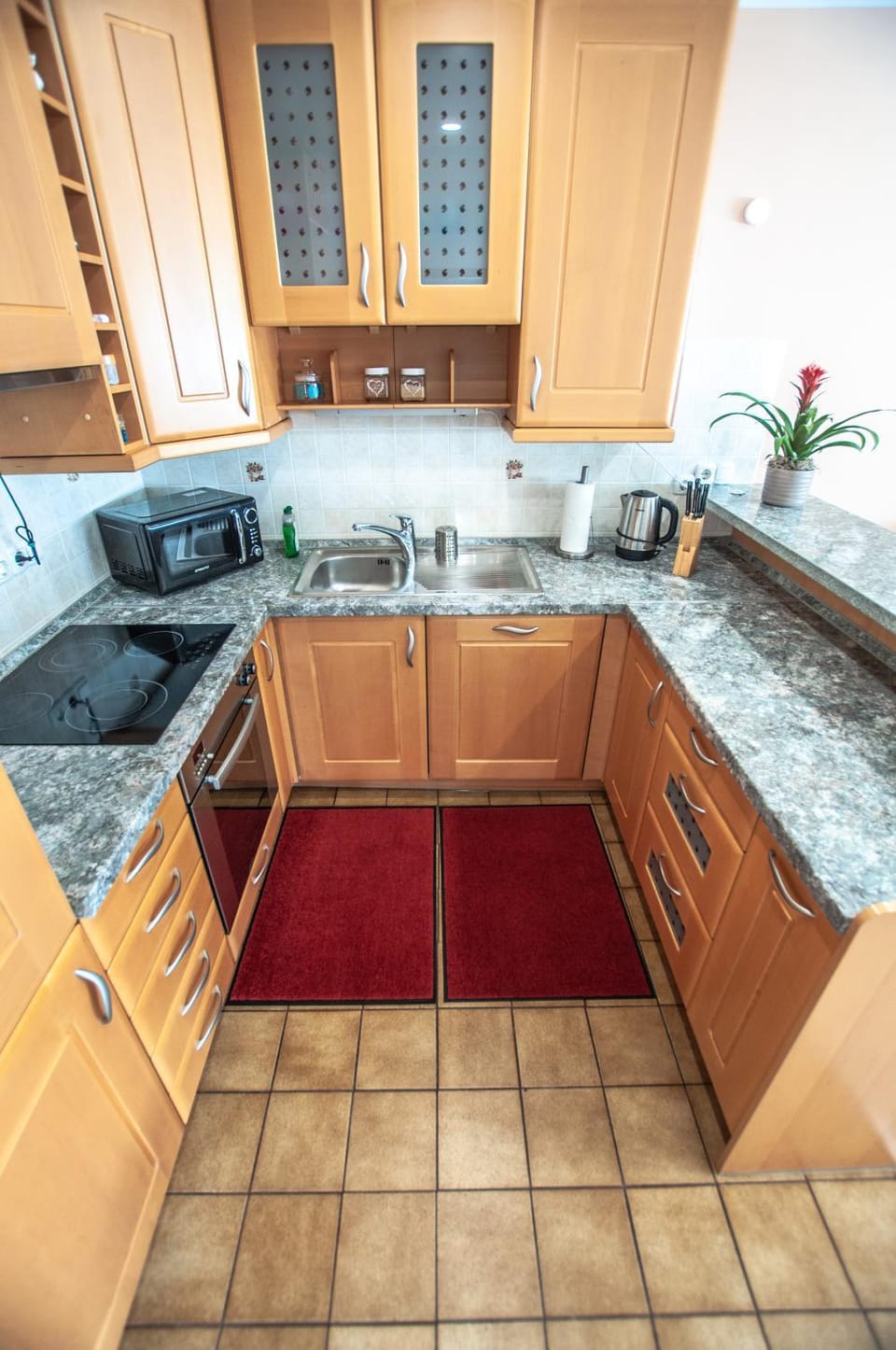 Kitchen or kitchenette, dishwasher, minibar, pet friendly, stove