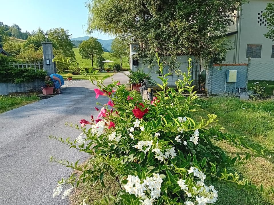 Property building, Natural landscape, Garden, Garden view, Mountain view, Street view