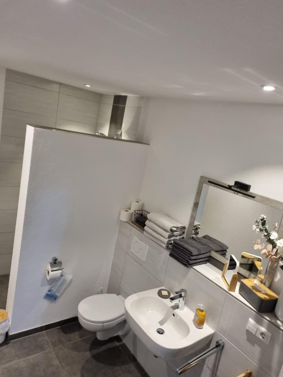 Casaina Apartment in Ortenau