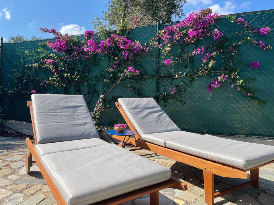 sunbed