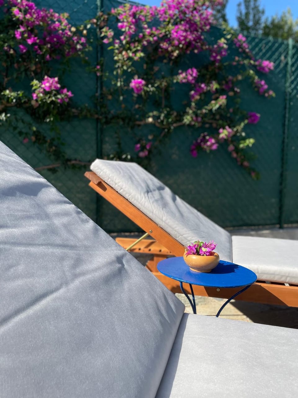sunbed