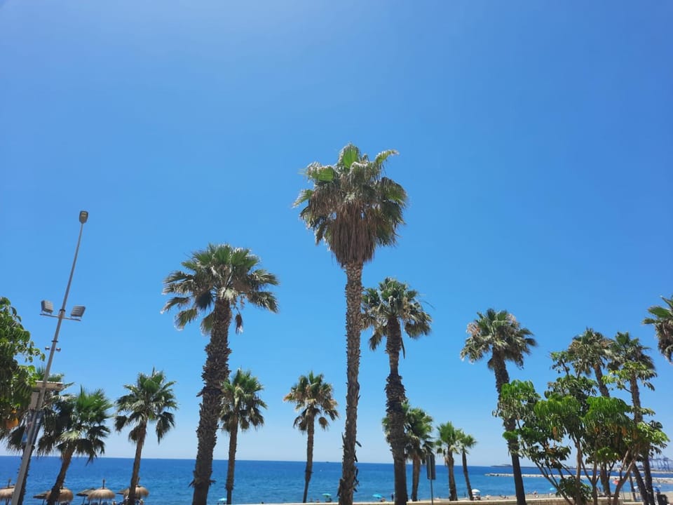 Natural landscape, Beach, Sea view