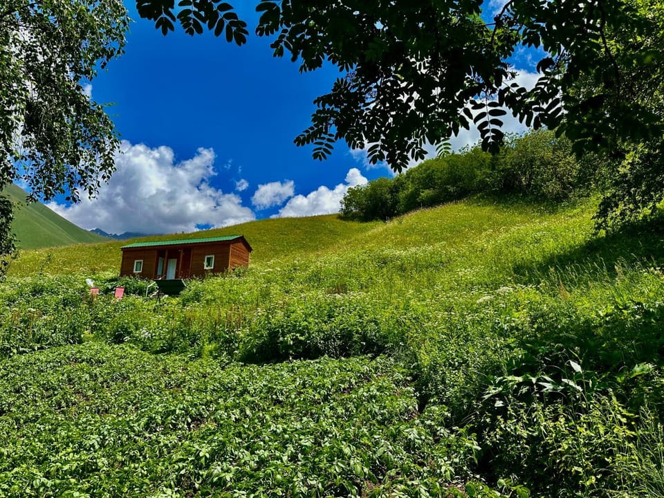 amo-isuntke Bed and Breakfast in Georgia