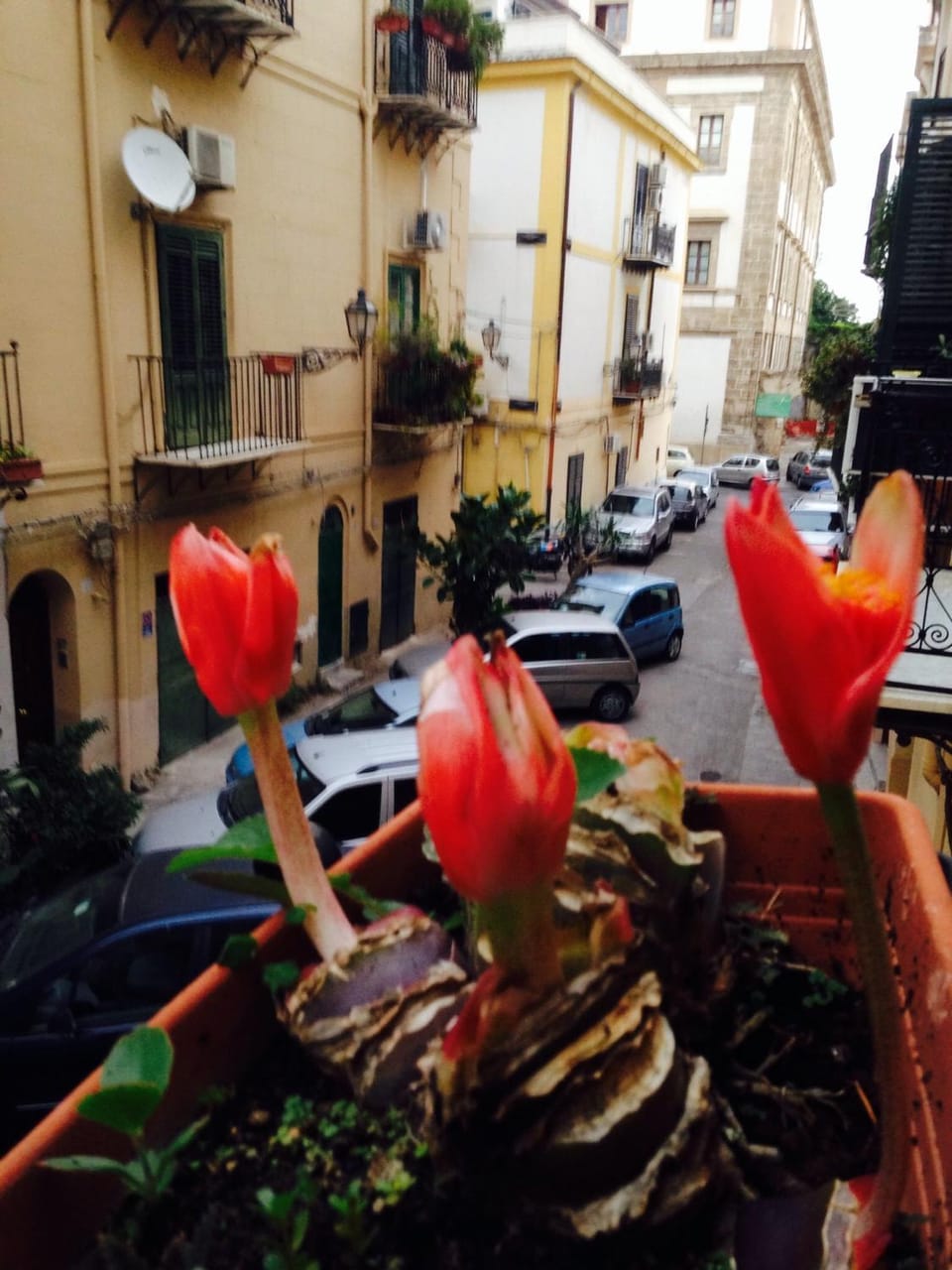 Day, Neighbourhood