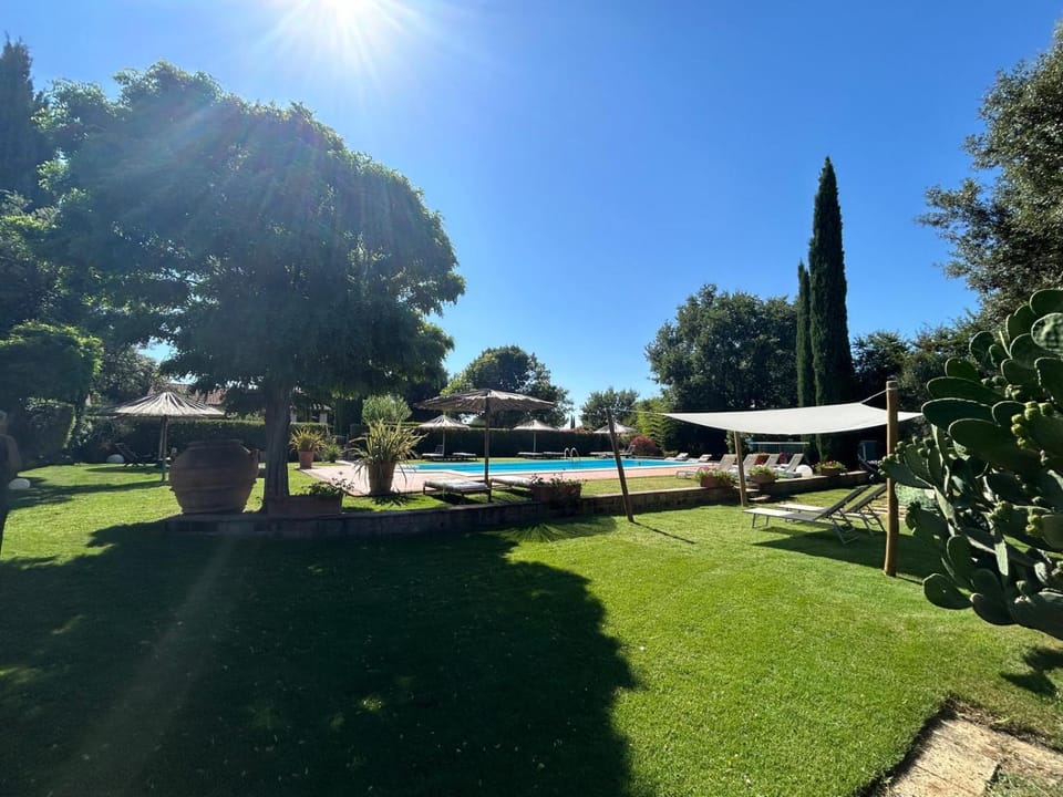 Day, Garden, Swimming pool