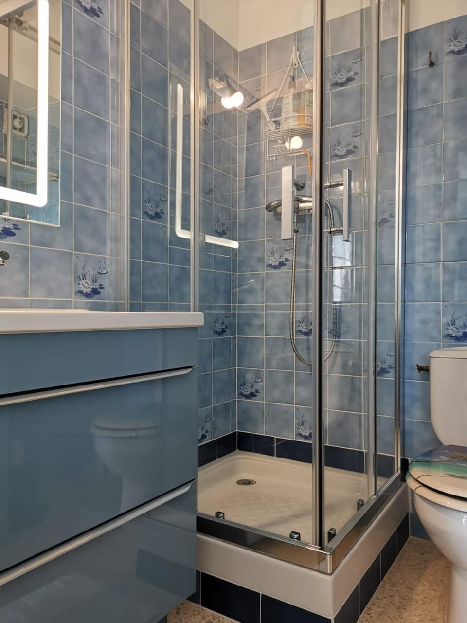 Shower, Toilet