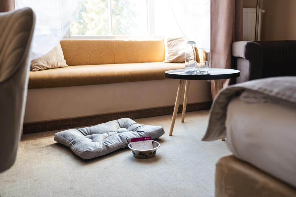 Seating area, Animals, pet friendly