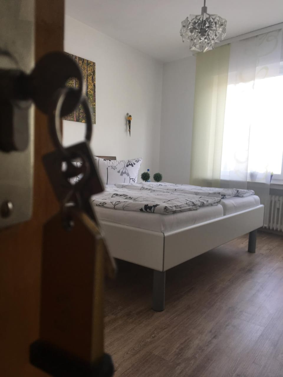 Photo of the whole room