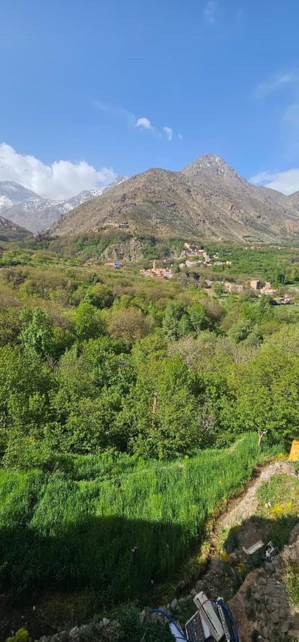 Riad Dar Omar Bed and Breakfast in Marrakesh-Safi