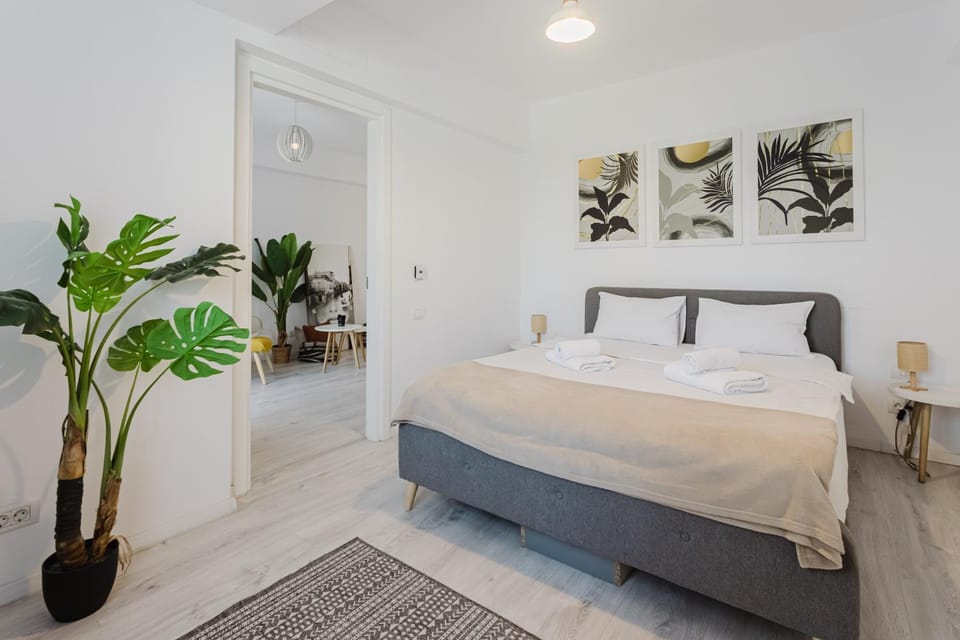 City Center Accomodation - 101 Apartment in Timiș County