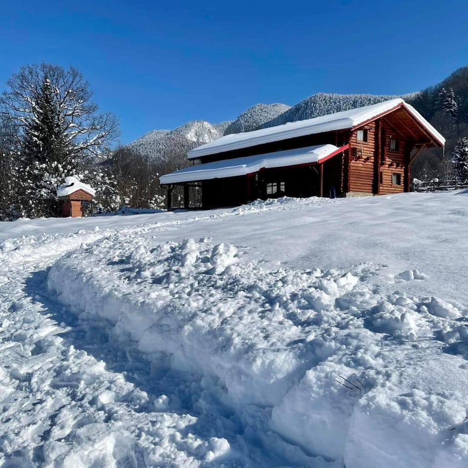 Cabana Ursu’ Zburator House in Brașov County