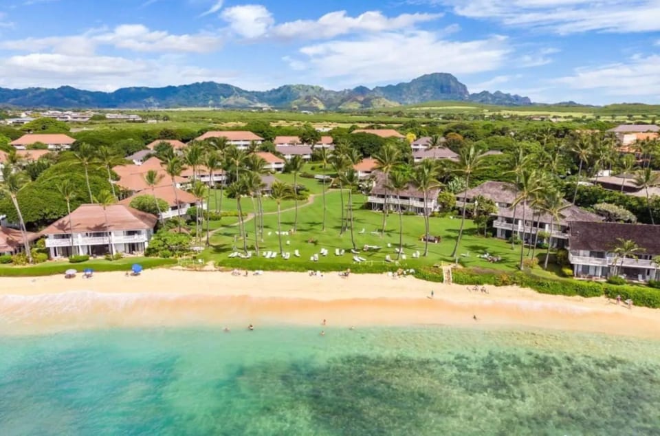 Natural landscape, Bird's eye view, Beach