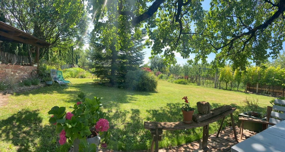 Inner courtyard view