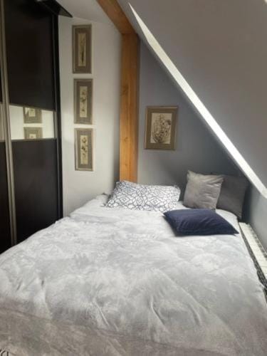 Apartament Mickiewicza Apartment in Lviv Oblast
