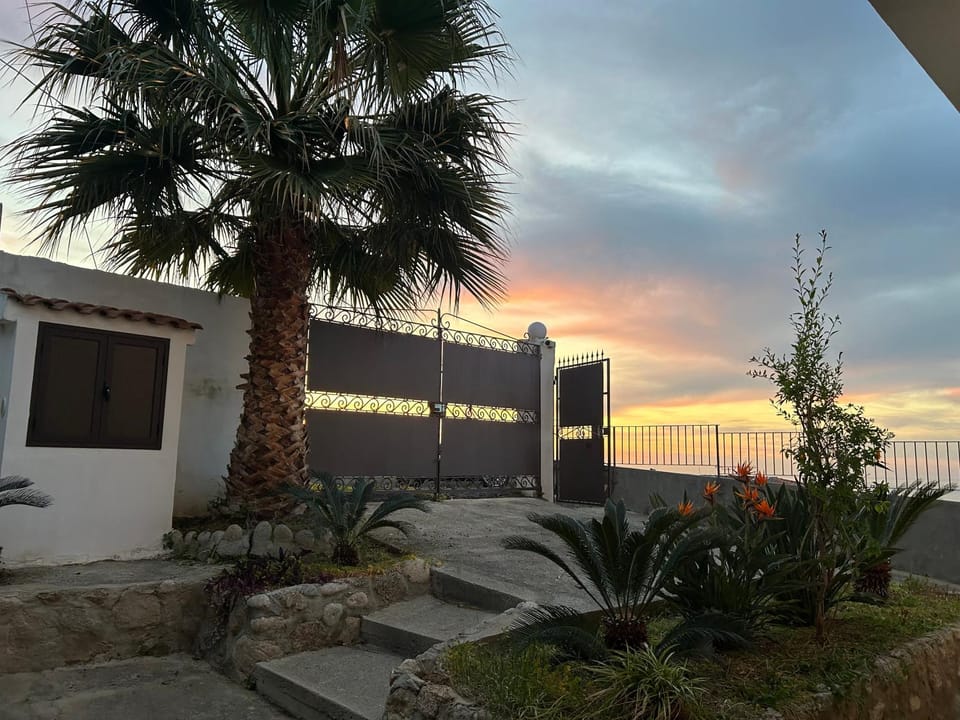 Property building, Facade/entrance, Day, Garden, Sunset