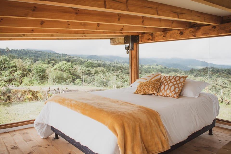 Bed, Photo of the whole room, Bedroom, Mountain view