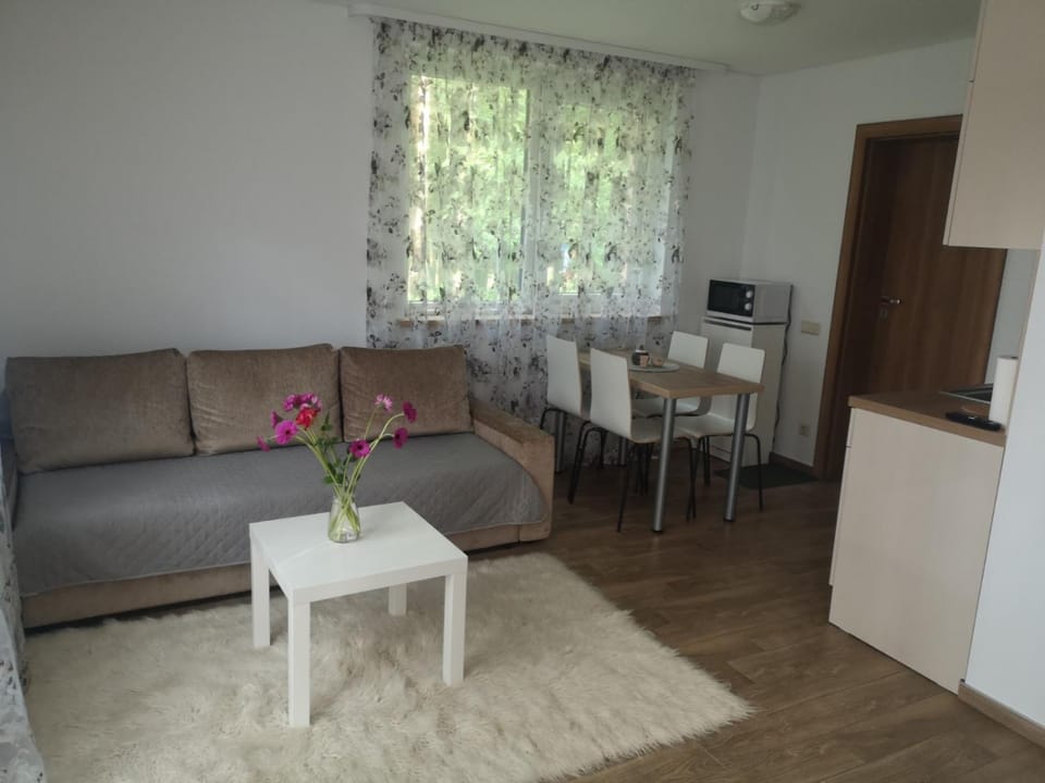 Kristinos apartment Apartment in Lithuania