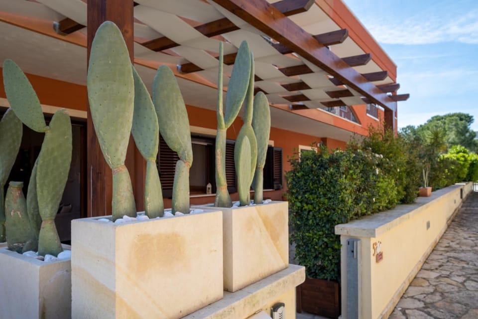 Facade/entrance, Garden, Garden view