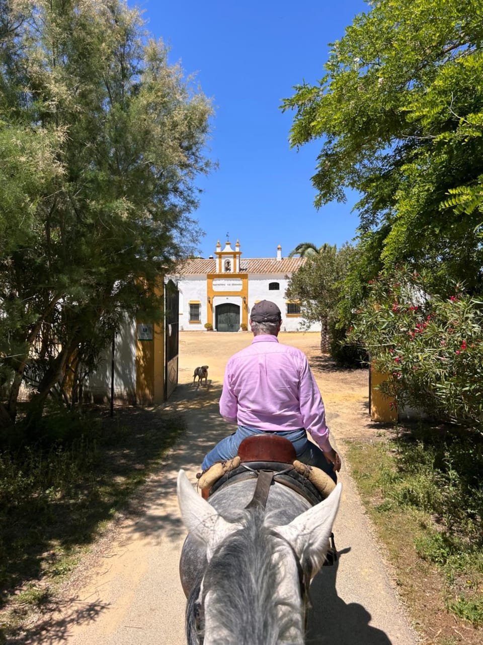 Hacienda La Indiana Bed and Breakfast in Costa de la Luz