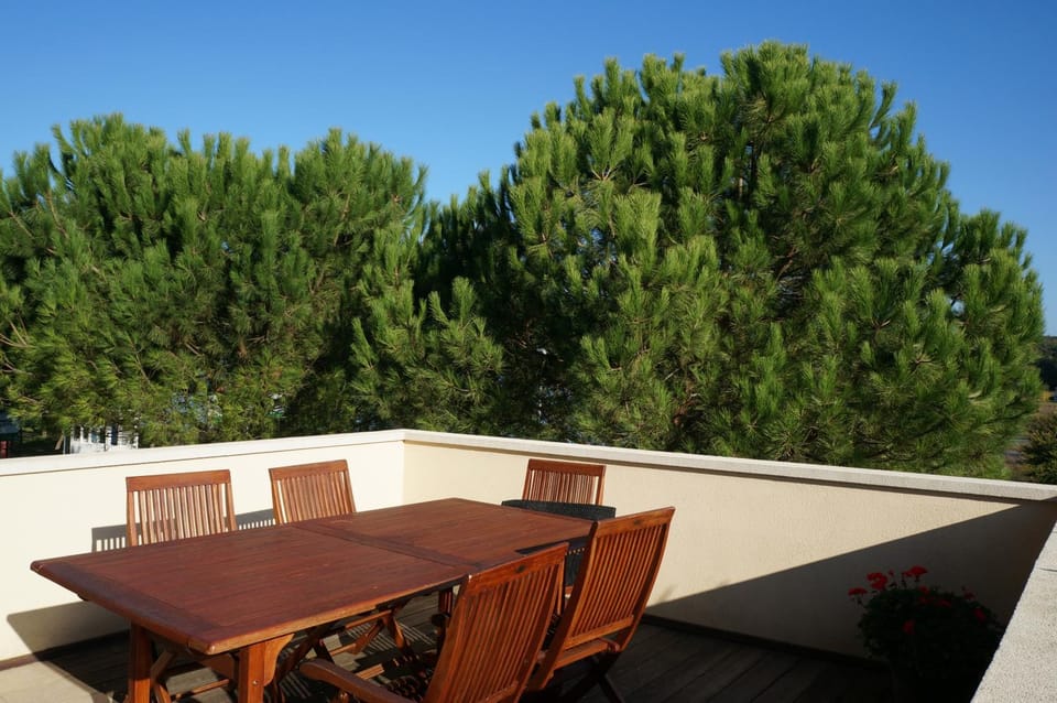 Apartments Rea Apartment in Istria County