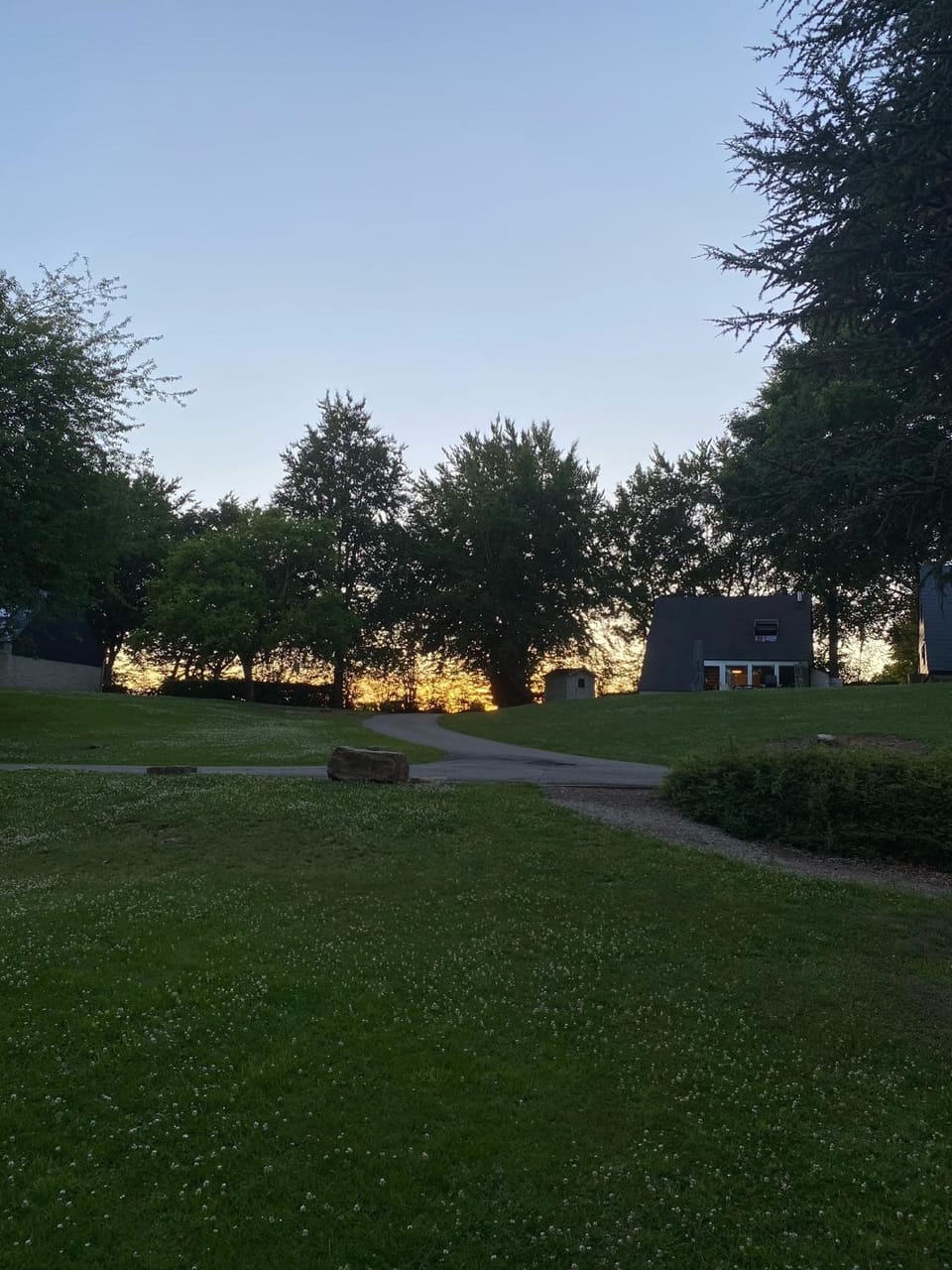 Summer, Garden, Sunset
