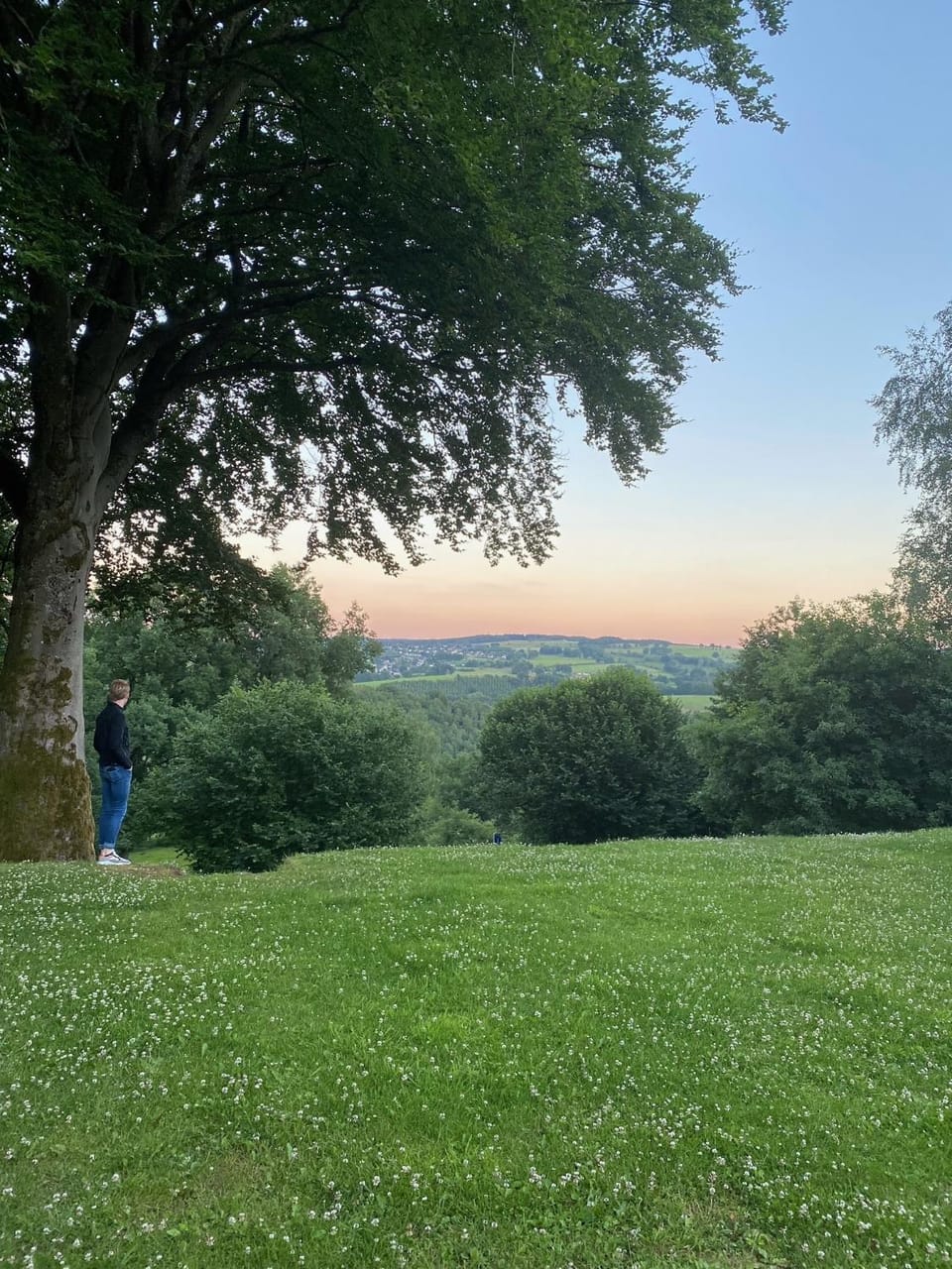 Natural landscape, Garden, Sunset