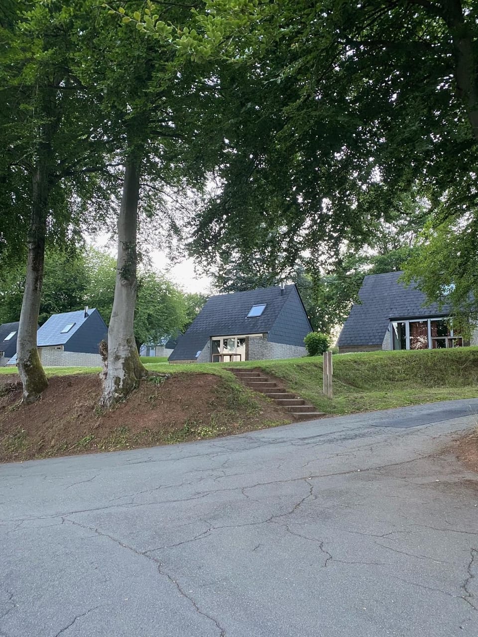 Property building, Neighbourhood, Garden