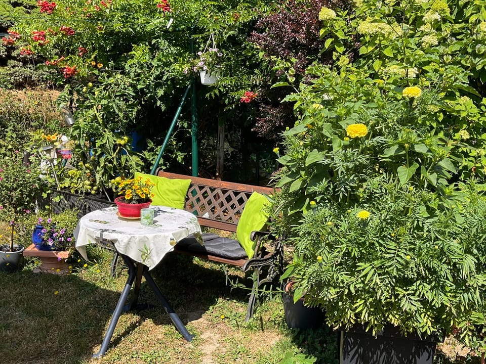 Landhaus Zum Langenstein Hotel in Trier-Saarburg