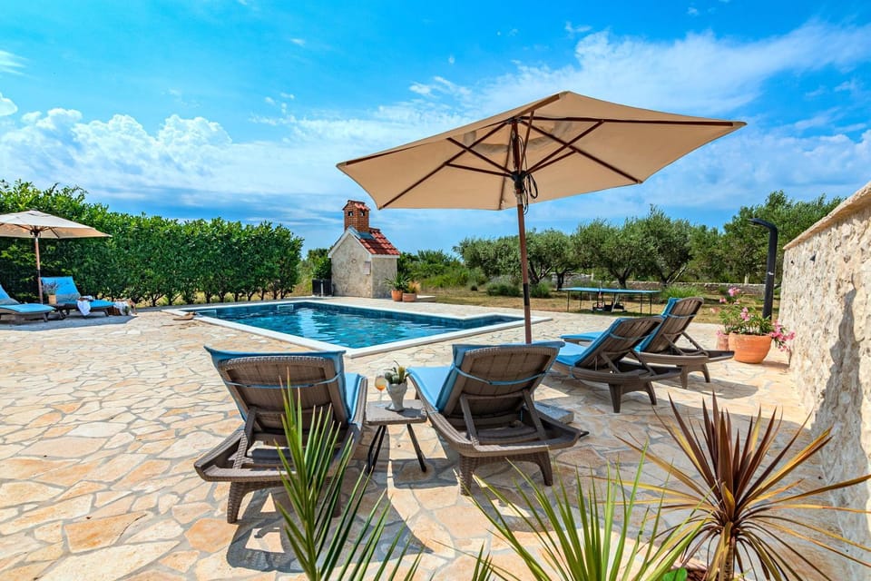 Patio, Day, Natural landscape, Garden, Swimming pool, sunbed