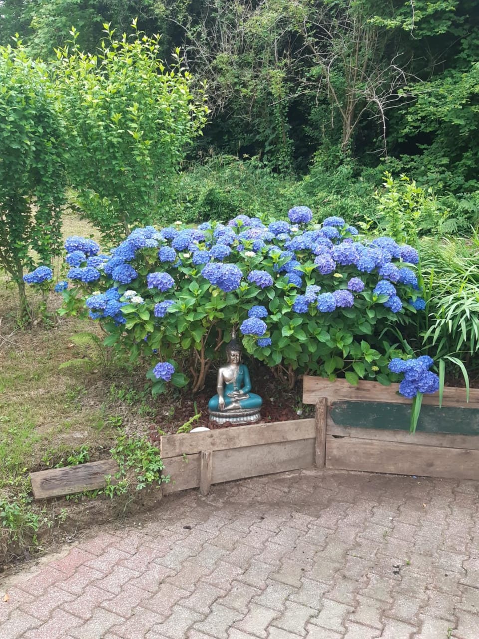 Garden view