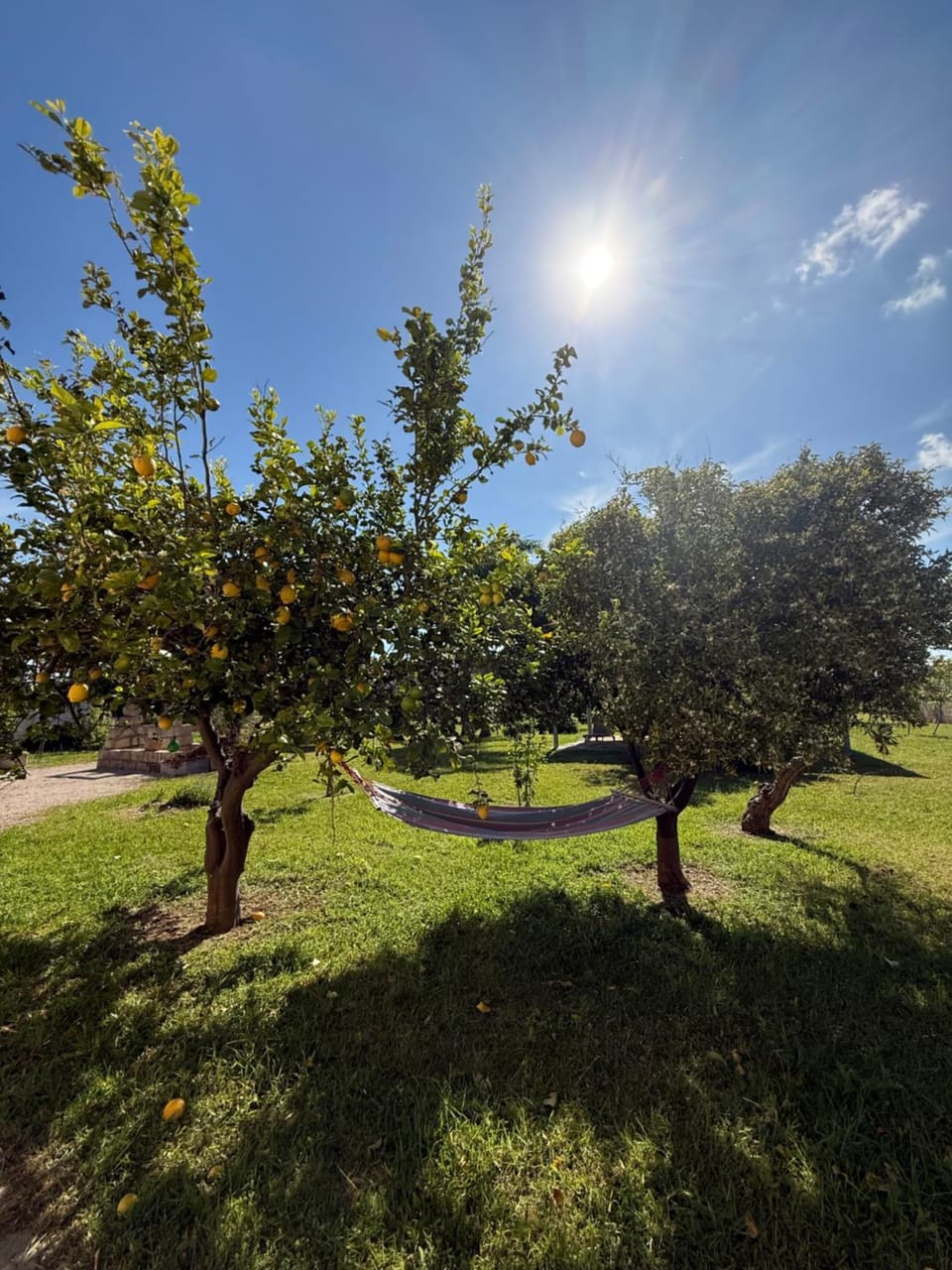 Villa Linda Country House in Apulia