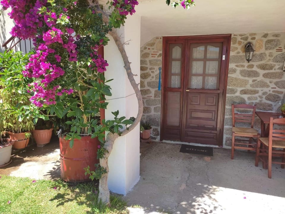 Patio, Facade/entrance