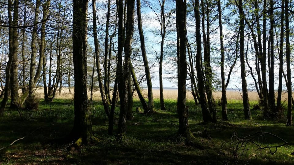 Natural landscape