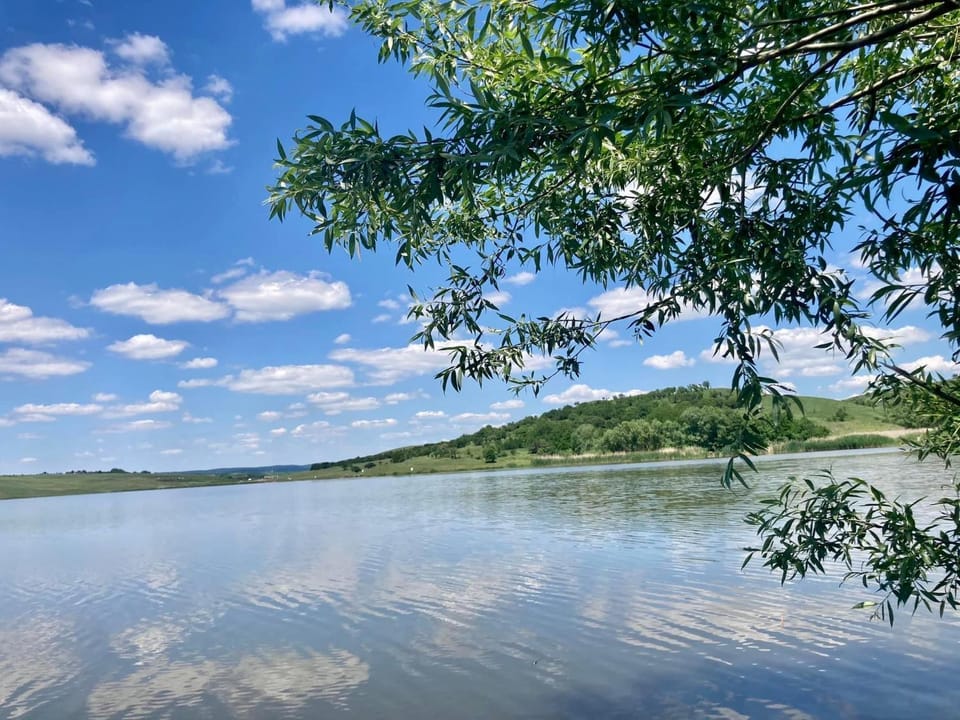 Day, Lake view