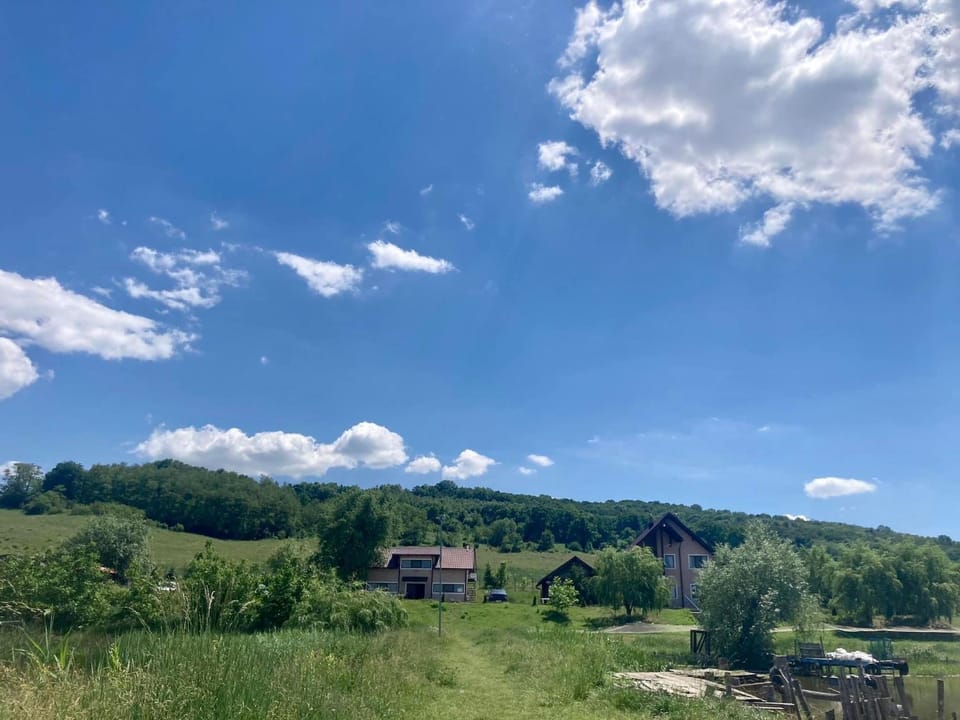 Natural landscape, Garden