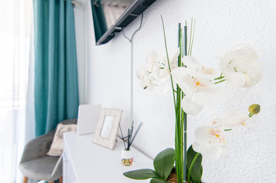 Cosy Studio in Playa de Las Americas PH10 Apartment in Costa Adeje