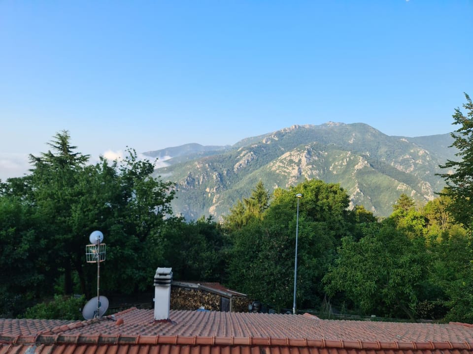 View (from property/room)