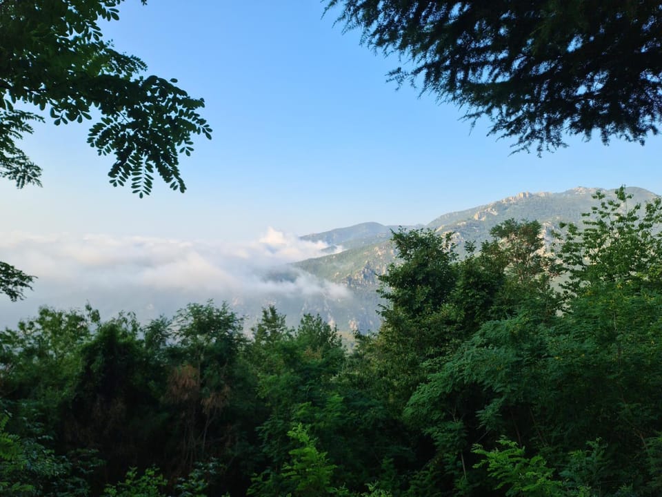 Mountain view