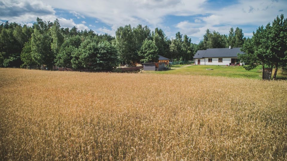 Natural landscape, Garden, Garden view