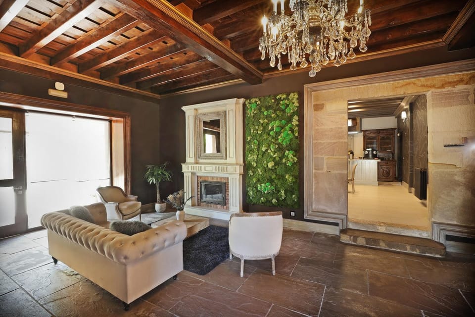 Living room, Lobby or reception, fireplace, flat iron