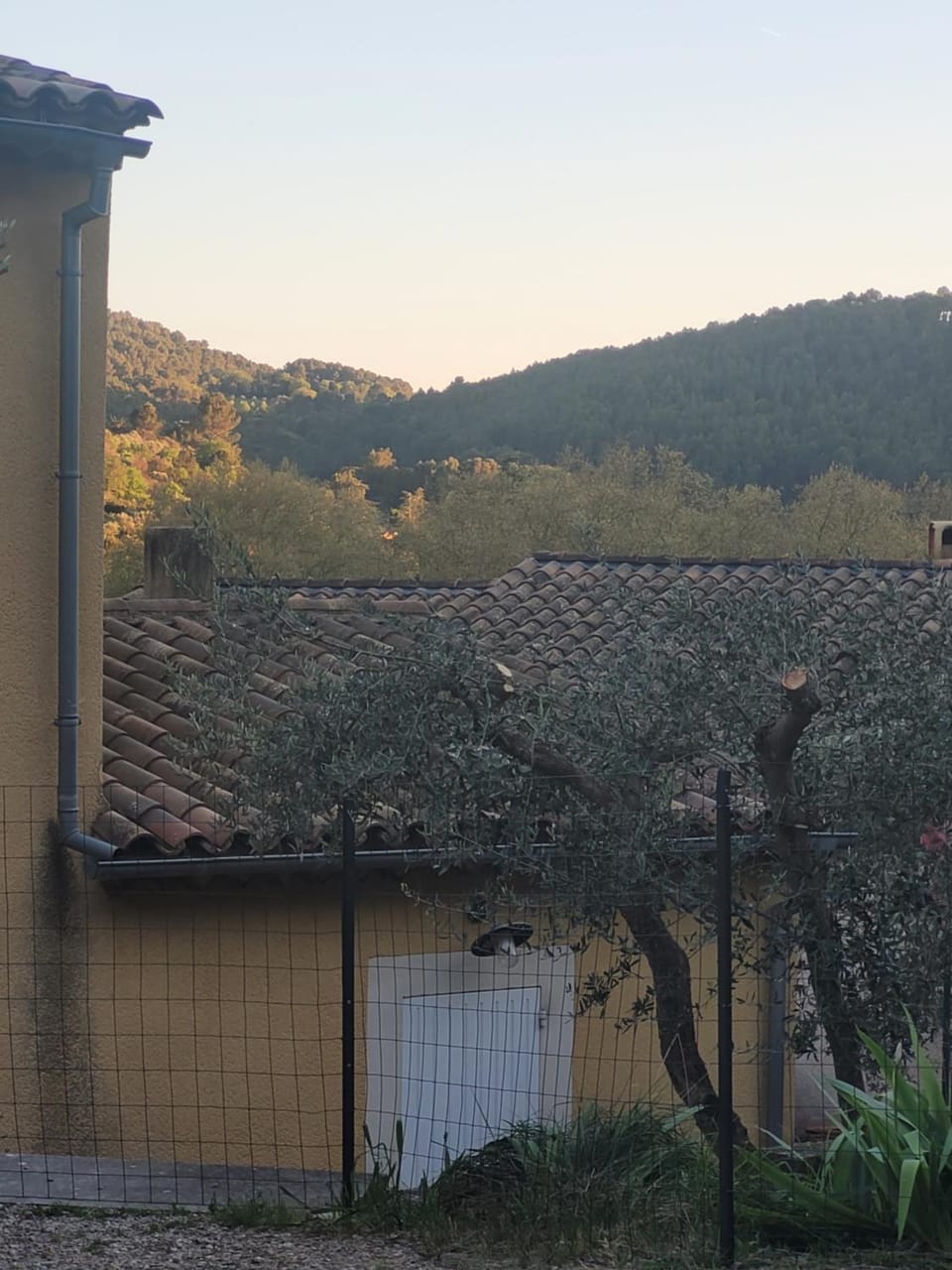 L'Oustau de Laëtitia Animaux bienvenus House in Fontaine-de-Vaucluse