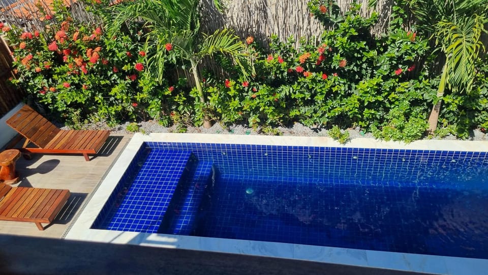 Garden, Swimming pool