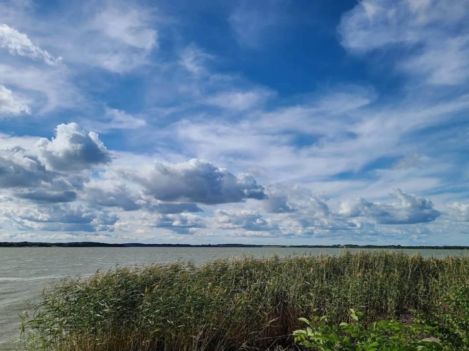 Lake view